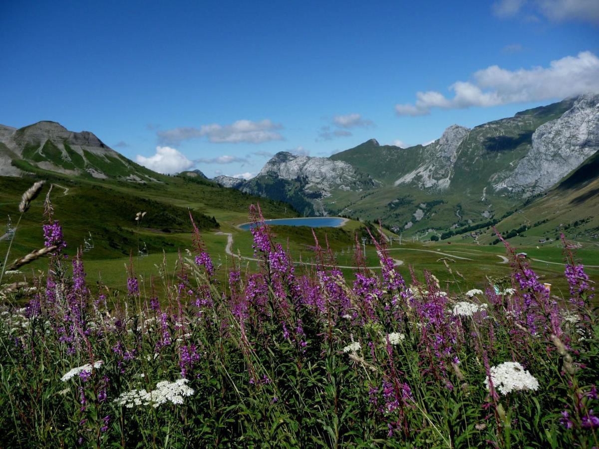 לה גראן-בורנו "Chalet Les Aravis" Chalet Et Appartements מראה חיצוני תמונה