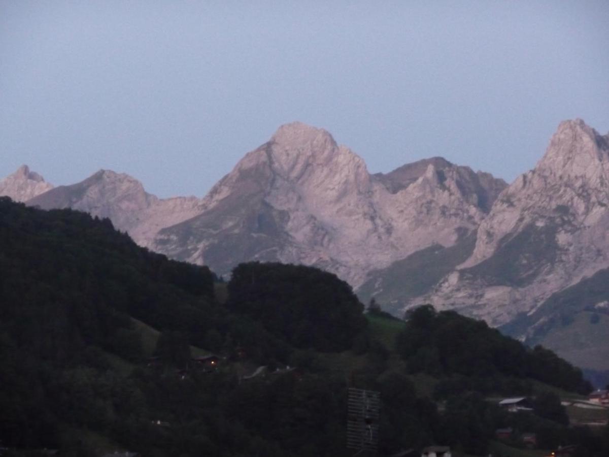 לה גראן-בורנו "Chalet Les Aravis" Chalet Et Appartements מראה חיצוני תמונה