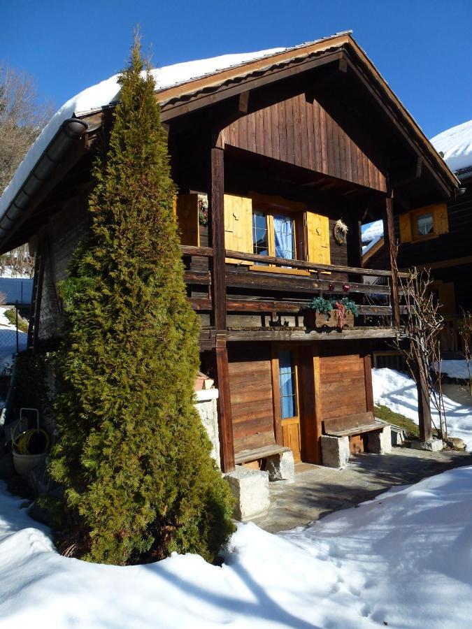 לה גראן-בורנו "Chalet Les Aravis" Chalet Et Appartements מראה חיצוני תמונה