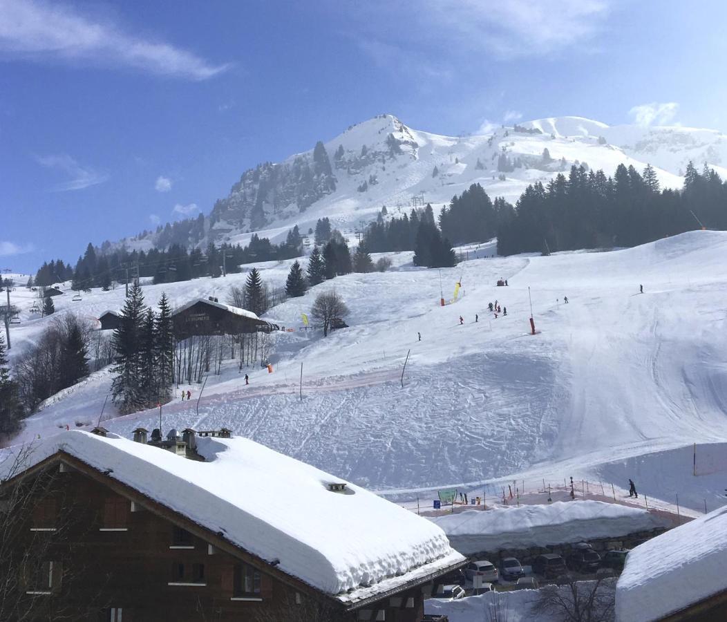 לה גראן-בורנו "Chalet Les Aravis" Chalet Et Appartements מראה חיצוני תמונה